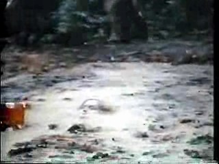 Massacre in Dinosaur Valley