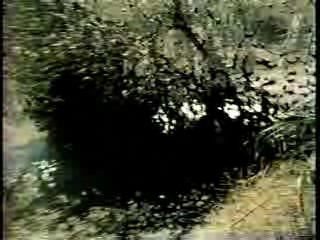 What Would You Do + CHiPs