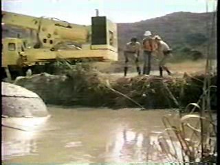 What Would You Do + CHiPs