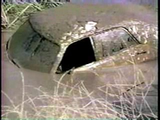 What Would You Do + CHiPs