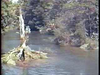 Many Rivers to Cross & Linnea Quigley movie