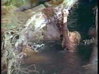 Many Rivers to Cross & Linnea Quigley movie