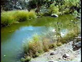 Silk Stalkings, Dr Quinn, Laugh In