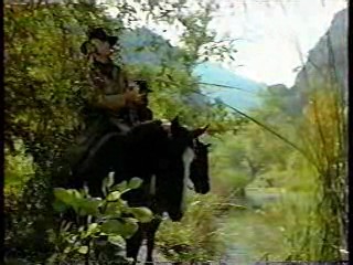 Silk Stalkings, Dr Quinn, Laugh In