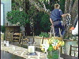 Brothers and Sisters (2006)