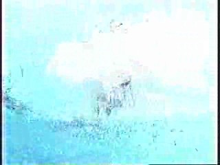 Brothers and Sisters (2006)