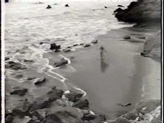 James Bond, Anna Nicole Smith