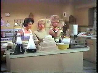 Gidget, The Babe, Takeshi's Castle