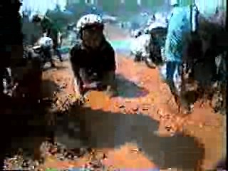 Gidget, The Babe, Takeshi's Castle