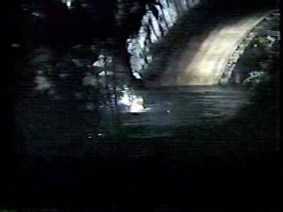 Sweet Charity, Wet T Shirt scene