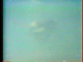 Nikki Taylor, Camilla Sparv