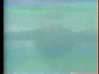 Nikki Taylor, Camilla Sparv