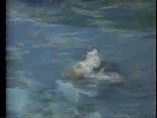 Nikki Taylor, Camilla Sparv