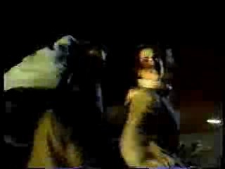 Ally Walker, Teri Hatcher, Gilligan's Island