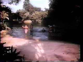 Ally Walker, Teri Hatcher, Gilligan's Island