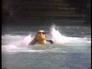 What Would You Do,  Logan's Run