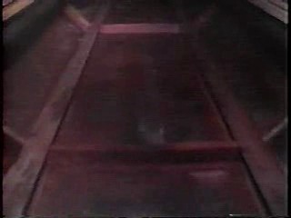 What Would You Do,  Logan's Run