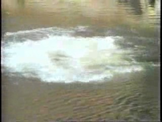 What Would You Do,  Logan's Run