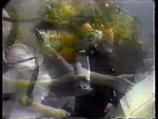 Underwater Wedding,  What Would You Do