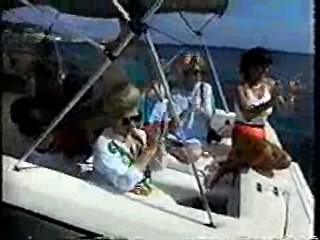 Underwater Wedding,  What Would You Do