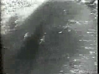 Mud Play, Walter Mitty, Dr Quinn, Bride in Pool