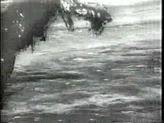 Mud Play, Walter Mitty, Dr Quinn, Bride in Pool