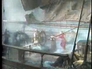 Mud Play, Walter Mitty, Dr Quinn, Bride in Pool