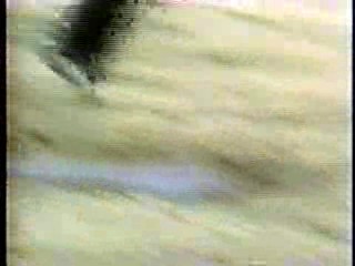 Mud Play, Walter Mitty, Dr Quinn, Bride in Pool