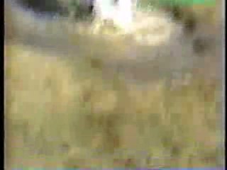 Mud Play, Walter Mitty, Dr Quinn, Bride in Pool