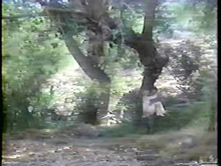 Incredible Hulk + pie tv