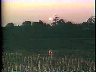 Lady Dragon 2,  River Rapids