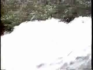 Lady Dragon 2,  River Rapids