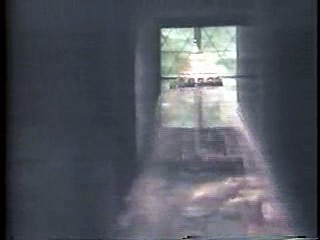 Poison Ivy, Euro Park