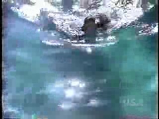 Melrose Place,  Silk Stalkings