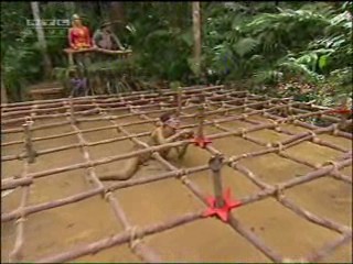 Ich bin ein Star â€“ Holt mich hier raus!