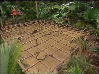 Ich bin ein Star â€“ Holt mich hier raus!