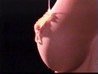 Playboy Playmate in oil - Jodi Ann Peterson