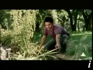 Lynx Commercial, Date Movie