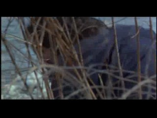 Chain Reaction (1996)