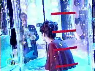 Ciao Darwin - Hungary