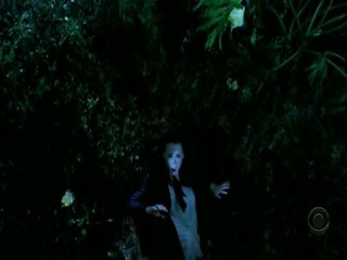 The Ghost Whisperer (2005)