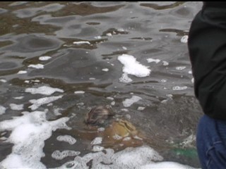 Deuce Bigalow: Male Gigolo - behind the scenes documentary