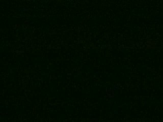 Music Video with Honey