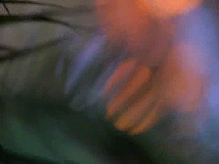 American Pie Presents: Beta House