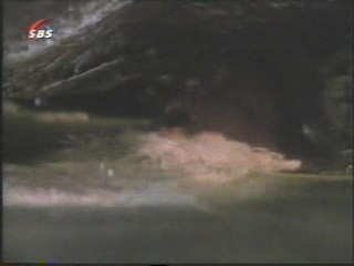 King Solomon's Mines (1985)