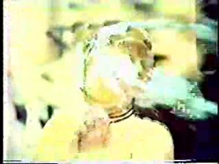 Brady Bunch,  Laugh In,  Taxi