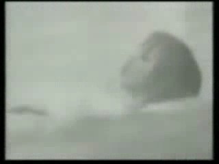 Where is the feeling