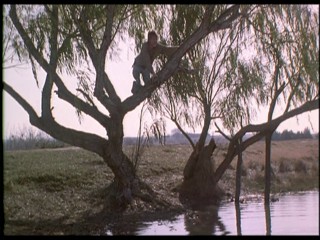 What's Eating Gilbert Grape