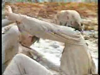 Noel's House Party,  The Dirtwater Dynasty,  Good Morning Babylon