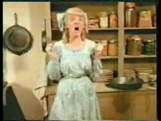 Cadbury's Picnic commercial,  Little House on the Prairie, The Harry Enfield Show